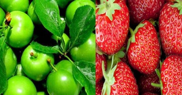 media-2020-05-26-09-32-5218jpg-1622458232