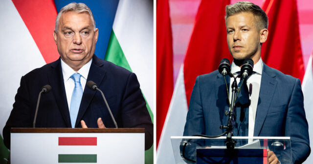 media-63392659_459ba1075140aac485a4d7ed047bfbf0_wm