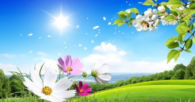 media-660_44408_125b96317f50ce5_1536569727