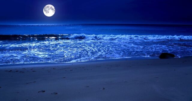 media-667811116_2010079476385816_811076080299058142_n