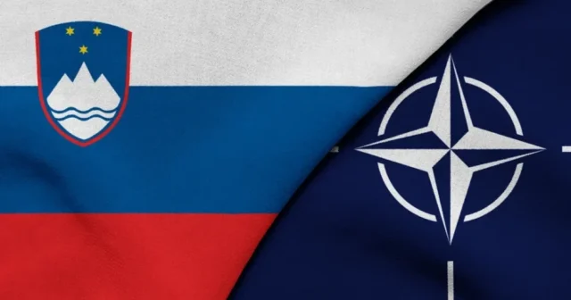 media-687204f34a581687204f34a5821752302835687204f34a57f687204f34a580