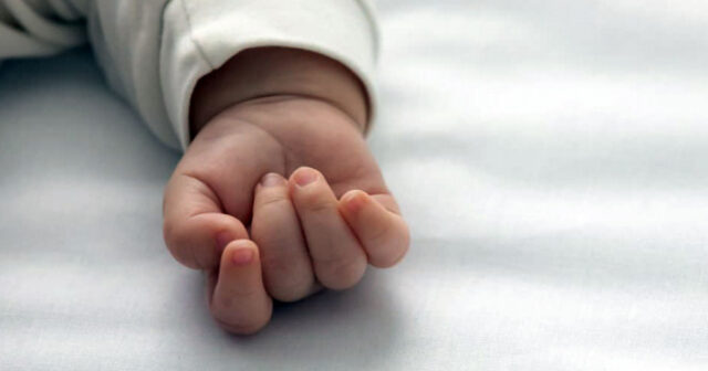 media-698ad62edeaaf698ad62edeab017707064785241727ba4edd53970c0e8f079eabfbb