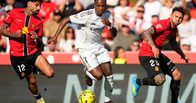 media-69d13bb325d9269d13bb325d93177531998769d13bb325d9069d13bb325d91