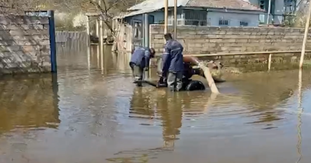 media-69da3da9ef27769da3da9ef278177591031369da3da9ef27569da3da9ef276