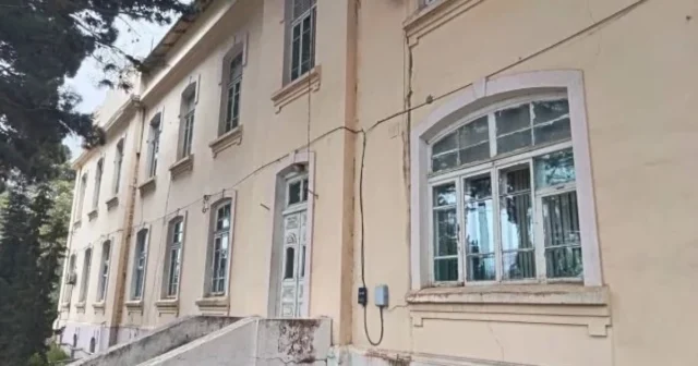 media-69f1d1d9627a469f1d1d9627a5177745557769f1d1d9627a169f1d1d9627a3