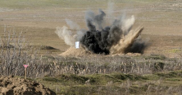 media-6a711a11175742440464189234410787845-1