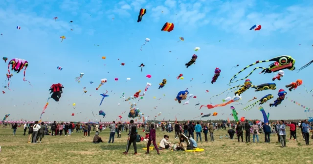 media-6qh2khtfwpx5vsijrlpb9ntpd3v1d8oggstrkom4_1200