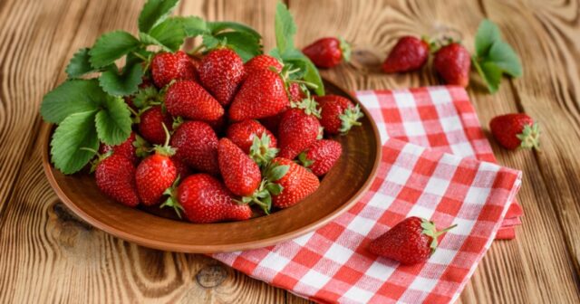 media-7261c484f7e8b14b655f8dc247c9c388