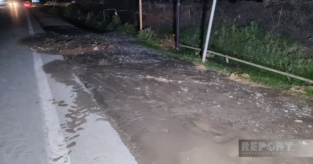 media-7vyxpl4gswvlfrr4a5vw3x9wazsosc1v3myeltjl_1200