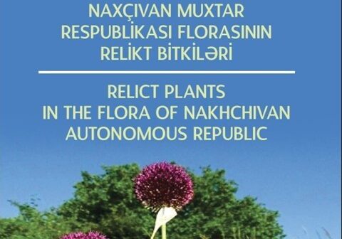 media-kitab-relikt-bitkiler