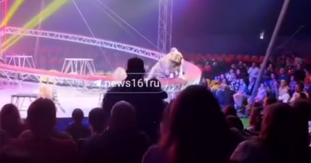 media-screenshot_2026-04-19_200653