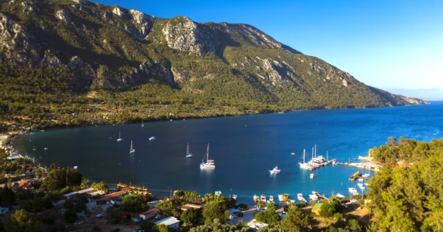 media-whatsapp-image-2026-04-13-at-11-21-41