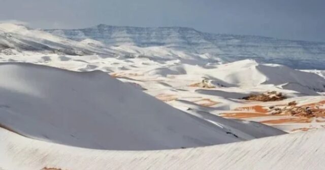 media-whatsapp-image-2026-04-14-at-10-45-55