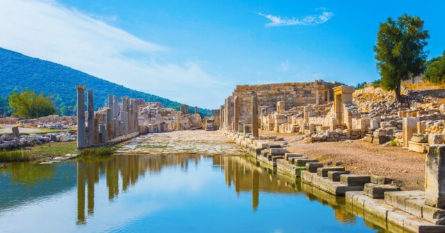 media-whatsapp-image-2026-04-15-at-11-18-29