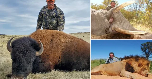 media-zctbk0iryjf0vgv0xnyrzcde9znptq37wuavca1i_1200