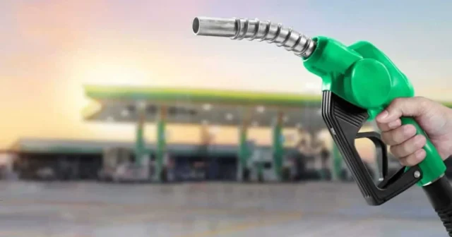 media-d5b13bb794e05f6