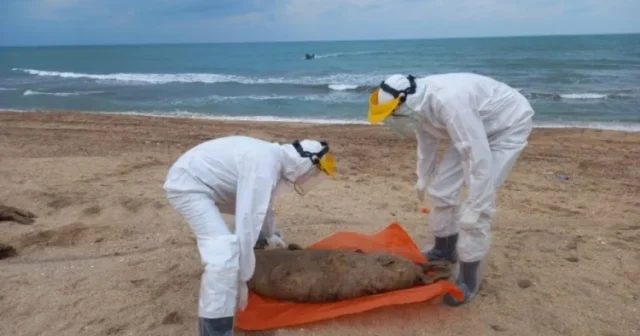 media-image_750x_655d8c085ade7-750-1080-resize