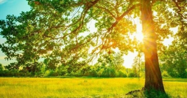 media-media-isti-hava-6-z3fuwy