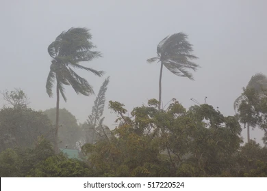 media-phuket-thailand-strong-storm-wind-260nw-517220524