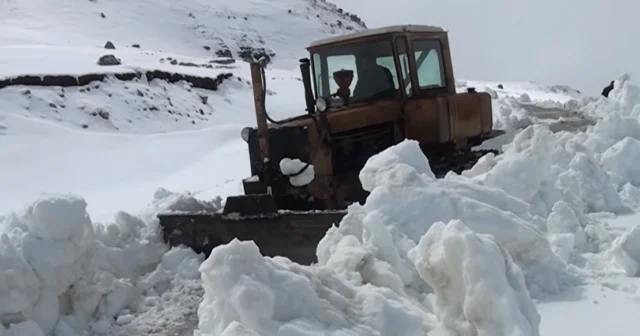 media-qaz70vggvy2essngxsvn1hxglvzdnawztowzs0si_1200