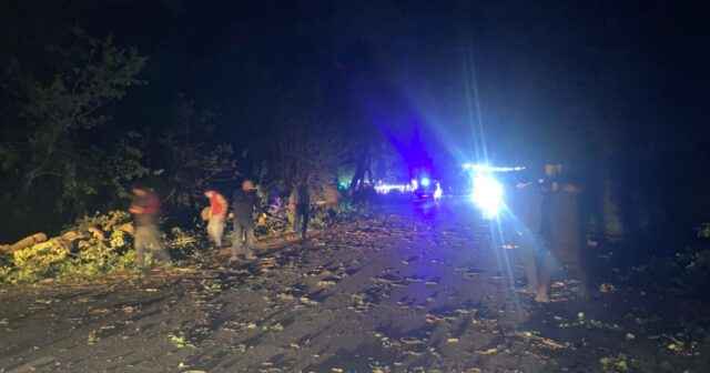 media-17775774934013764505_1200x630