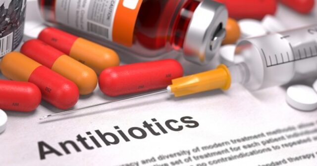 media-antibiotik