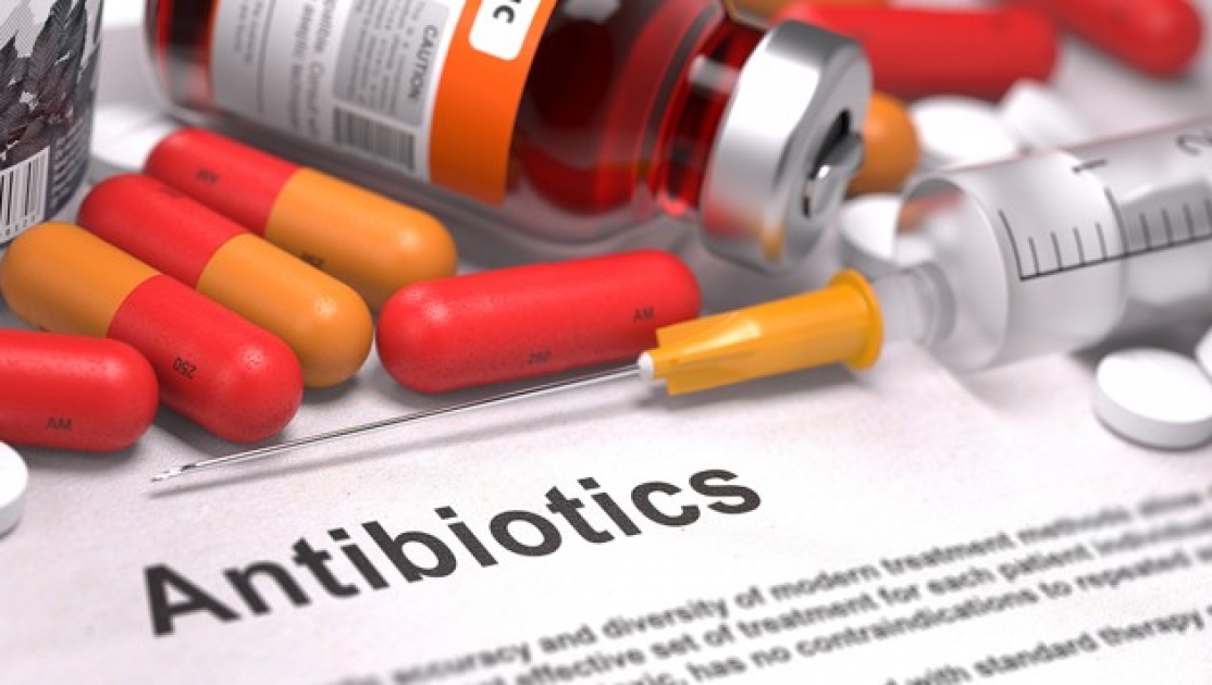 media-antibiotik