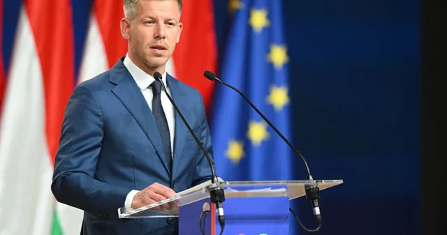 media-hungary-election