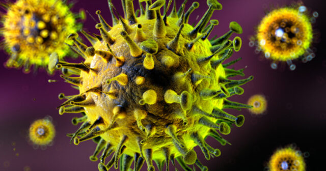 media-virus-850