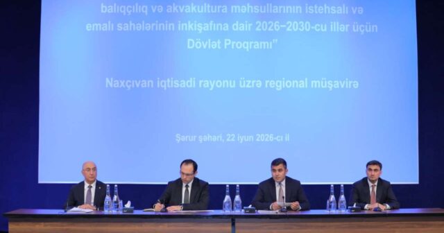 media-1782112653_0e439da1-8cb3-49c6-9a3c-503789ab37e4