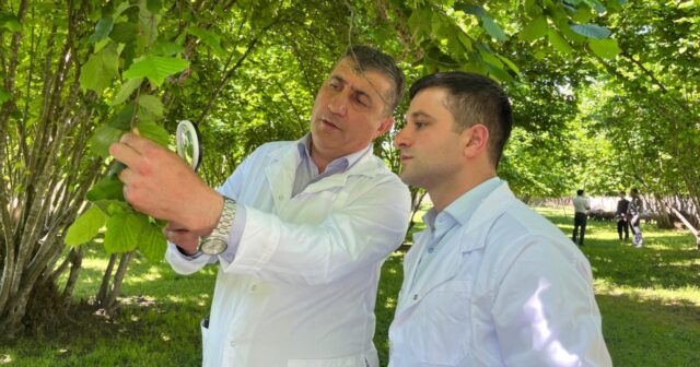 media-img_8194