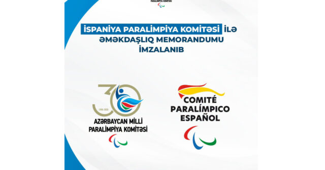 media-17833431474816261003_1200x630