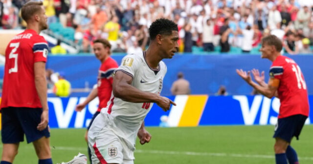 media-17838138404176059417_1200x630