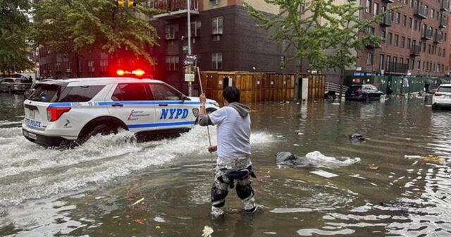 media-nyu-york