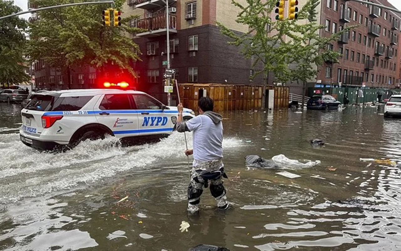 media-nyu-york