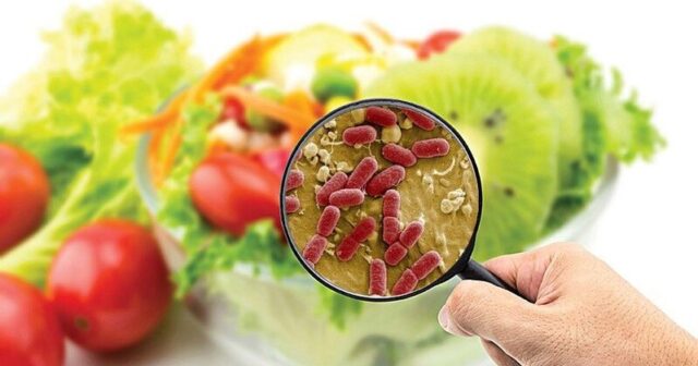 media-food-pathogens5