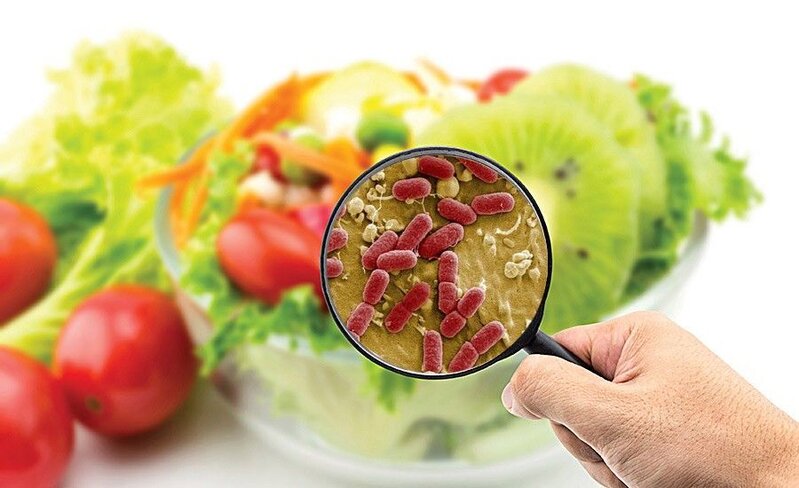 media-food-pathogens5