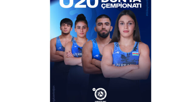 media-17872453184355413277_1200x630