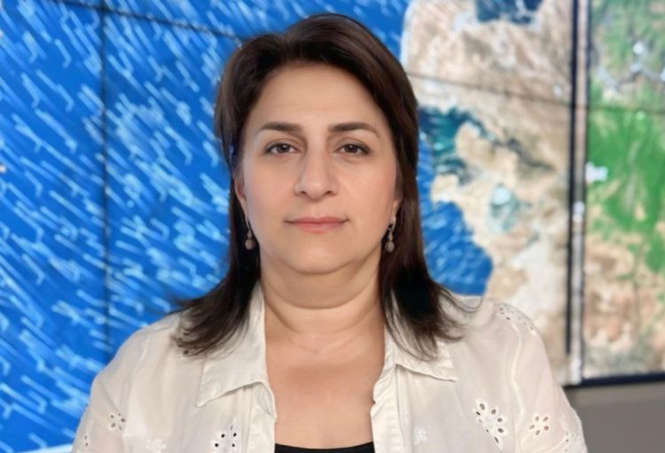 media-gulsad