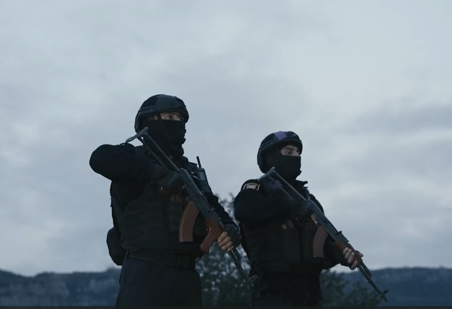 media-17897965615512522394_1200x630