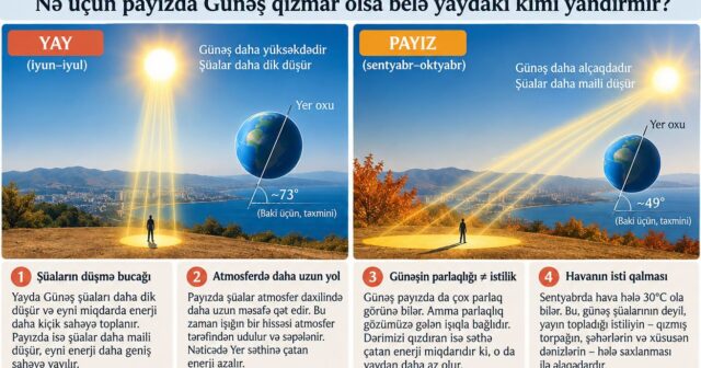 media-whatsapp-image-2026-09-13-at-23-06-32