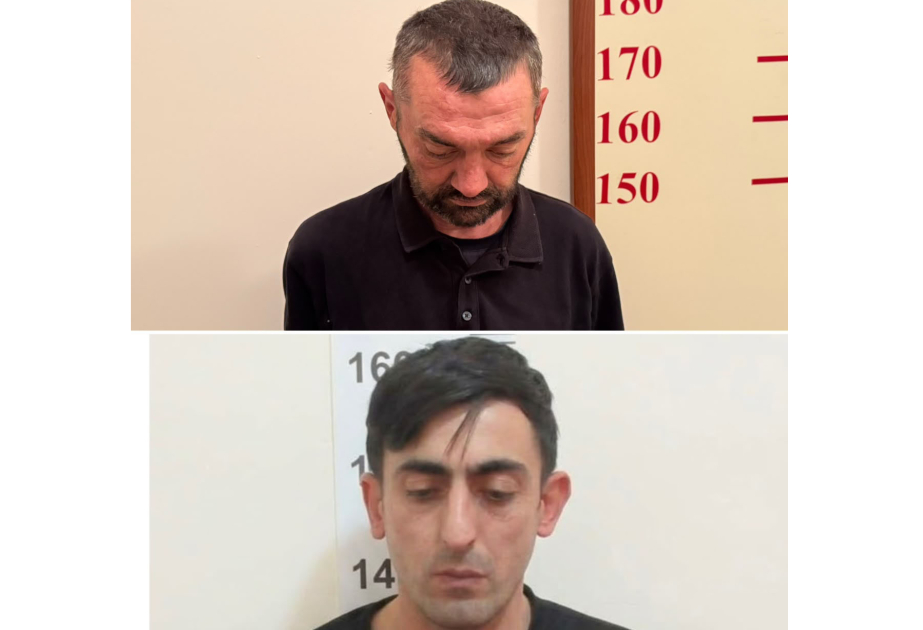 media-17912747402440453462_1200x630