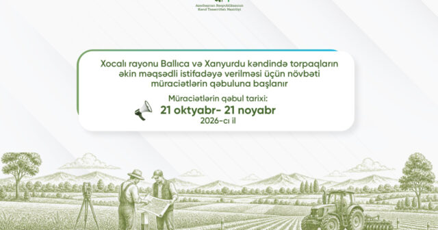 media-17925616121577025057_1200x630