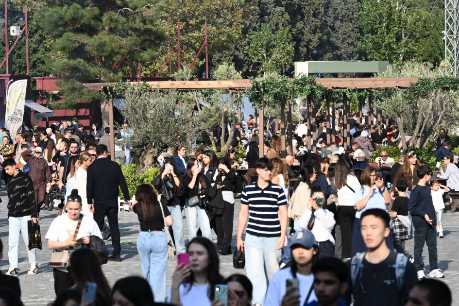 media-17928610614968010415_1200x630