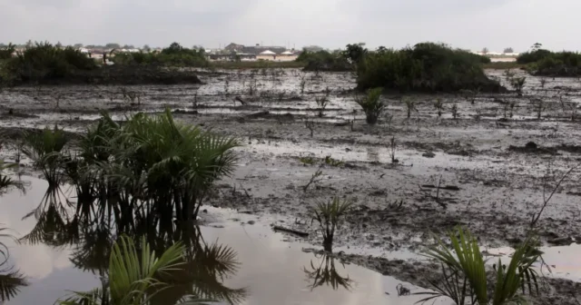 media-2012-11-18t120000z_1474082753_gm1e8bi17wv01_rtrmadp_3_nigeria-exxonspill