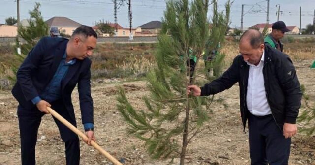 media-whatsapp-image-2026-10-23-at-13-13-46