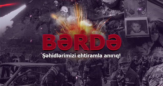 media-berde1
