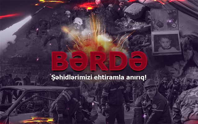 media-berde1
