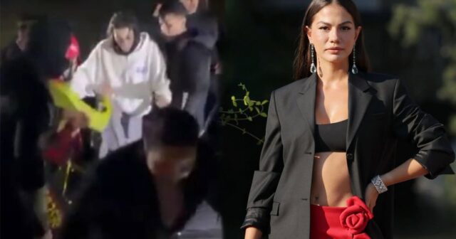 media-demet